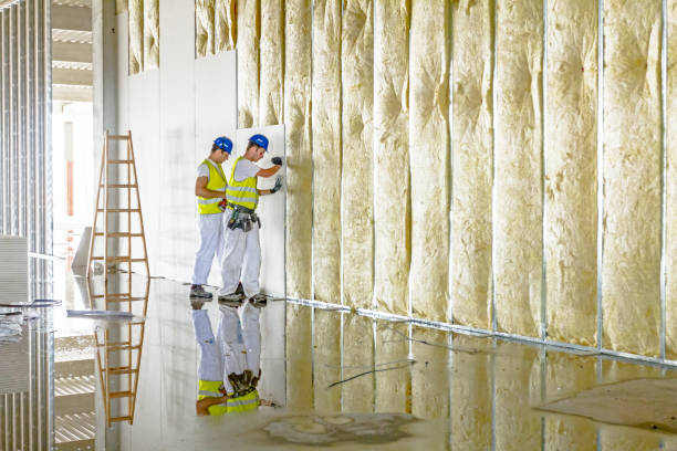 Best Insulation for New Construction  in Lewisville, NC